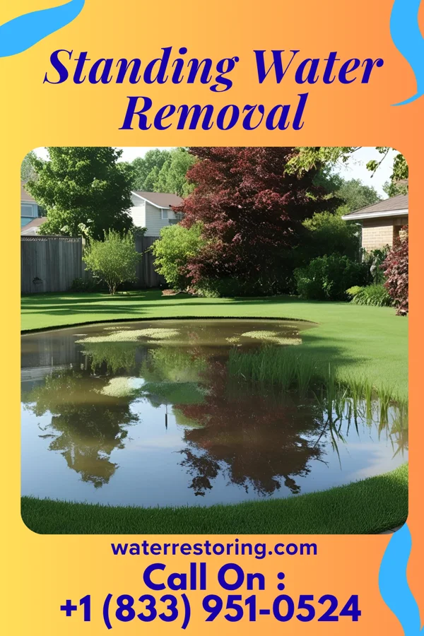 Standing Water Removal in Eubank, KY